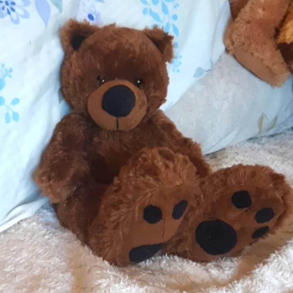 Big Foot Teddy Bear Brown Stuffed Animal plush kids toy Small bear BIG FEET